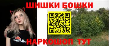 твердый Бийск