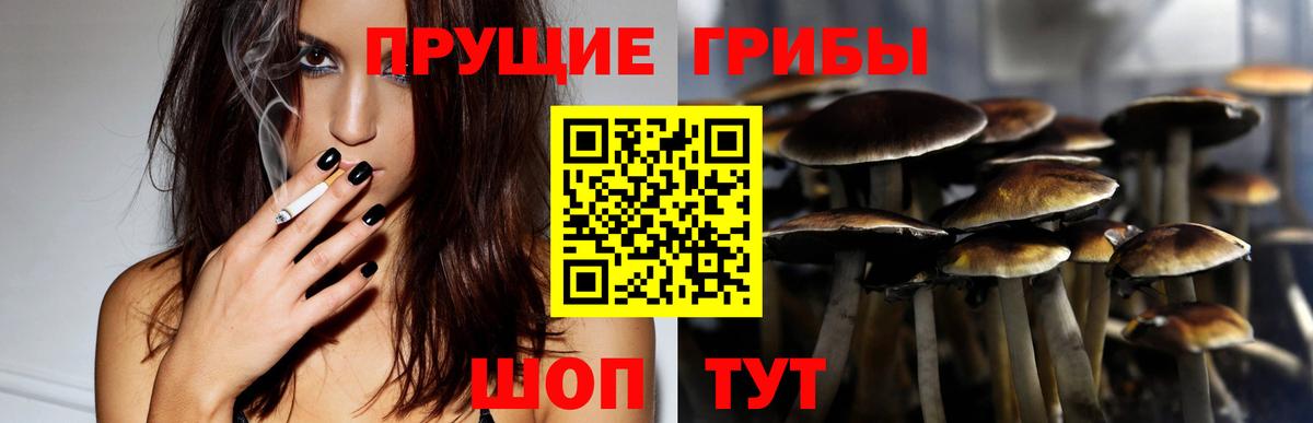 Псилоцибиновые грибы Psilocybine cubensis Шуя