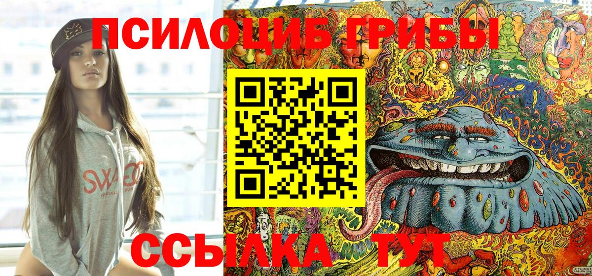 Галлюциногенные грибы ЛСД  купить наркотик  Шуя  Псилоцибиновые грибы MAGIC MUSHROOMS 