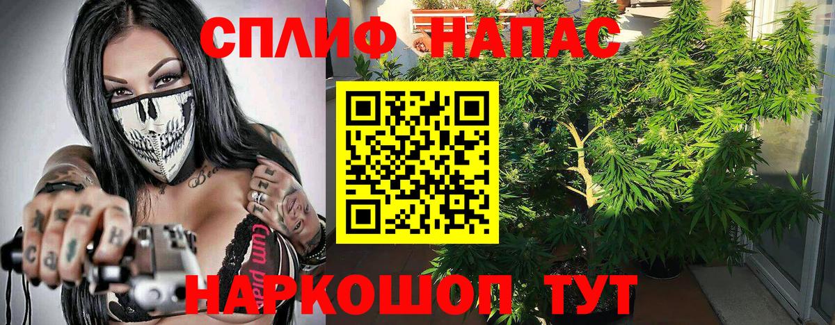 МАРИХУАНА SATIVA & INDICA  Марихуана Ganja  Шуя  Марихуана Bruce Banner 